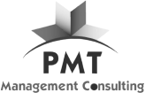 PMT Management Consulting logo
